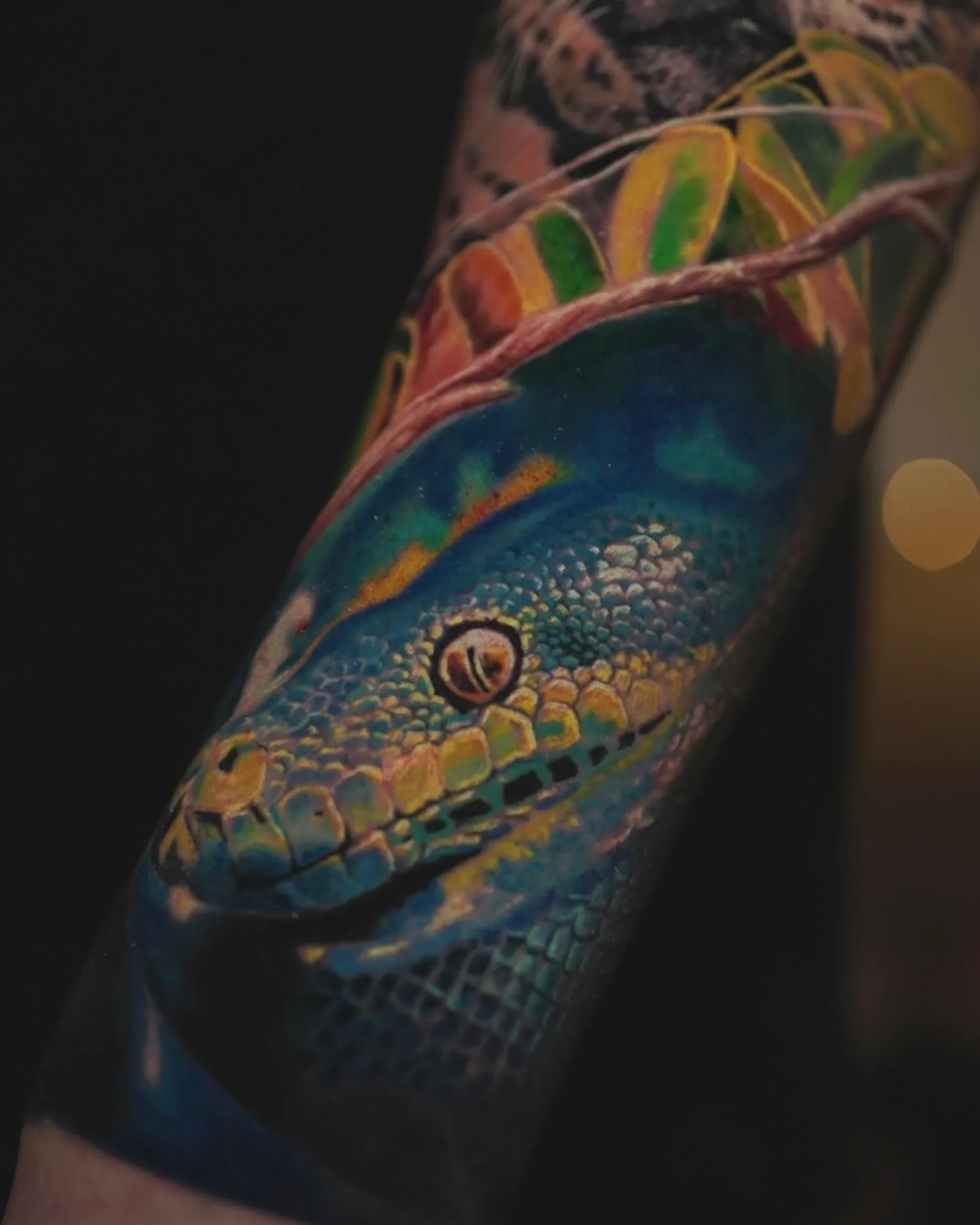 Rainforest Wildlife tattoo, detail 3