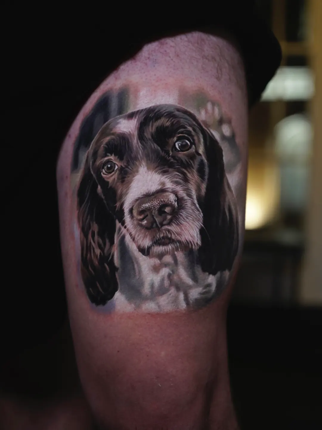 Dog Portraits tattoo, detail 10