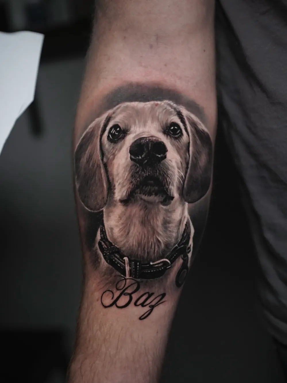 Dog Portraits tattoo, detail 5