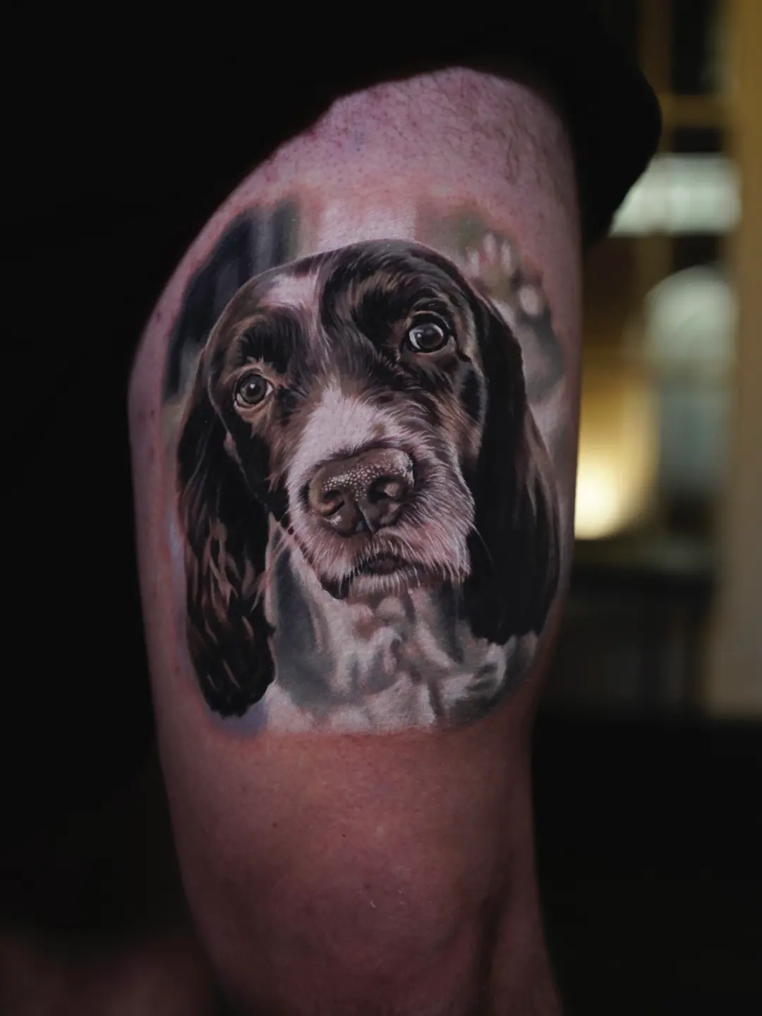 Dog Portraits tattoo, detail 9